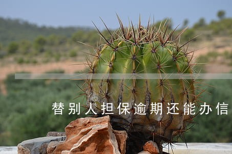 替别人担保逾期还能办信用卡 替别人担保逾期还能办信用卡