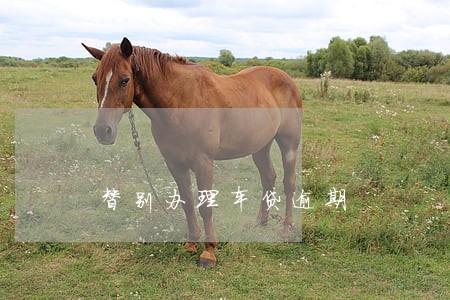 替别办理车贷逾期 替别办理车贷逾期