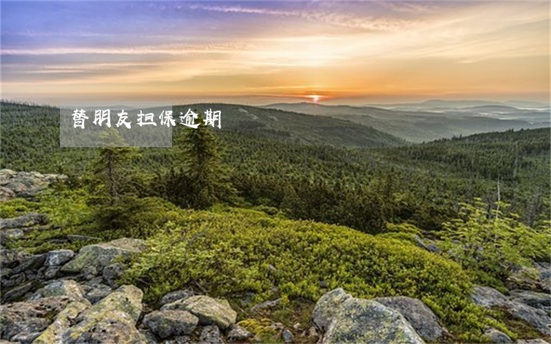 替朋友担保逾期 替朋友担保逾期