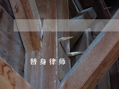 替身律师 替身律师