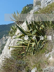 最不合理的强奸罪 最不合理的强奸罪