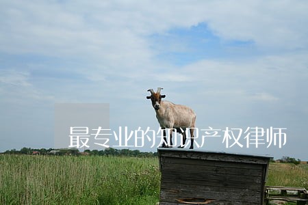 最专业的知识产权律师 最专业的知识产权律师