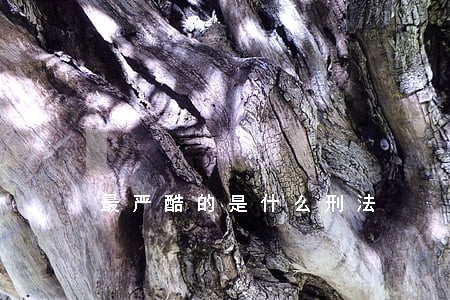 最严酷的是什么刑法 最严酷的是什么刑法