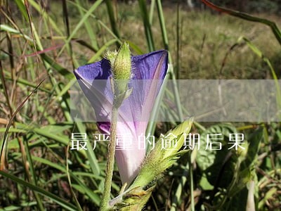 最严重的逾期后果 最严重的逾期后果