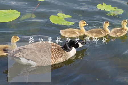 最低要收多少律师费 最低要收多少律师费