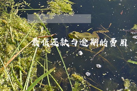 最低还款与逾期的费用