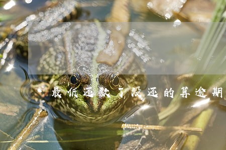 最低还款了没还的算逾期吗交通 最低还款了没还的算逾期吗交通