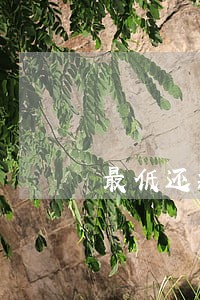 最低还款修改还款额度算不算逾期
