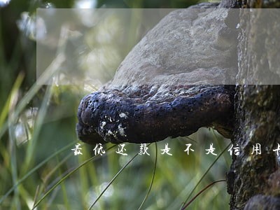 最低还款是不是信用卡逾期 最低还款是不是信用卡逾期