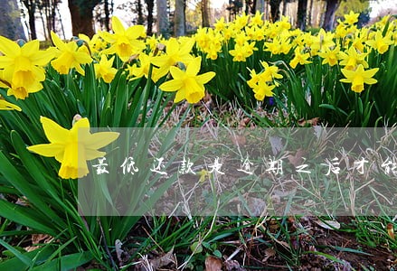最低还款是逾期之后才能用吗 最低还款是逾期之后才能用吗