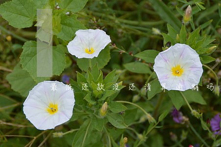 最低还款没还清算逾期吗 最低还款没还清算逾期吗