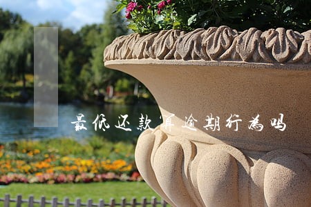 最低还款算逾期行为吗 最低还款算逾期行为吗