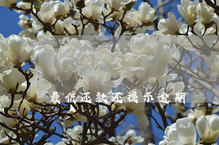 最低还款还提示逾期 最低还款还提示逾期