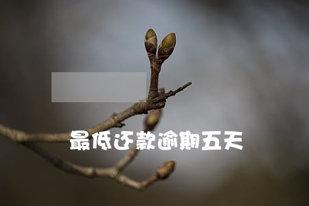 最低还款逾期五天 最低还款逾期五天