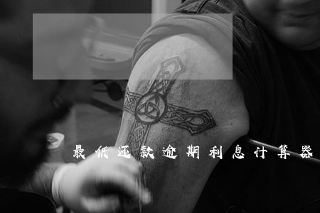 最低还款逾期利息计算器 最低还款逾期利息计算器