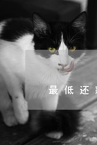 最低还款逾期半个月 最低还款逾期半个月