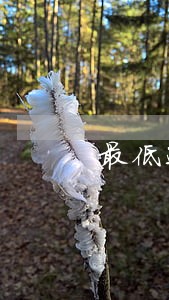 最低还款逾期后果 最低还款逾期后果