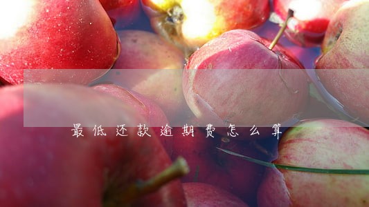 最低还款逾期费怎么算
