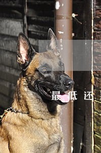 最低还款金额还完逾期影响征信吗 最低还款金额还完逾期影响征信吗
