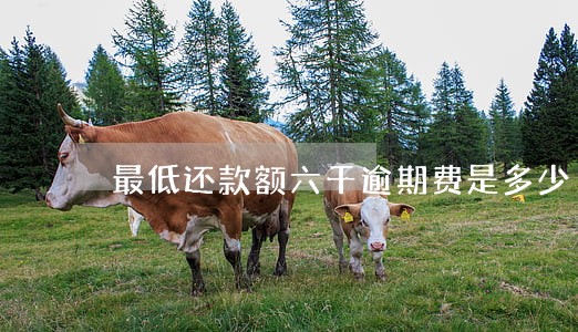 最低还款额六千逾期费是多少 最低还款额六千逾期费是多少