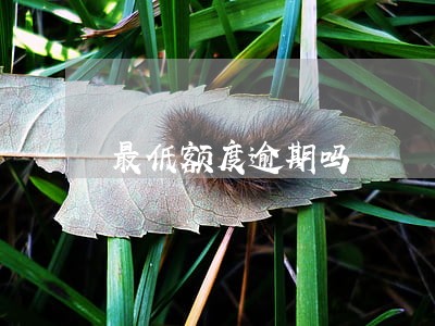 最低额度逾期吗 最低额度逾期吗