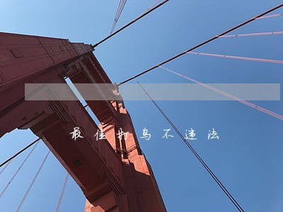 最佳打鸟不违法
