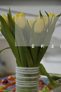 最到法院巡视组成都位置 最到法院巡视组成都位置