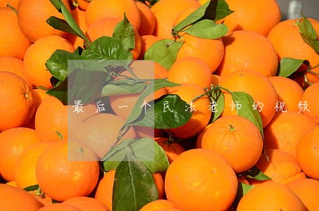 最后一个民法老师的视频了