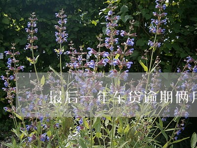 最后一年车贷逾期俩月 最后一年车贷逾期俩月