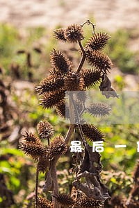 最后一期助学贷款逾期多久上征信 最后一期助学贷款逾期多久上征信