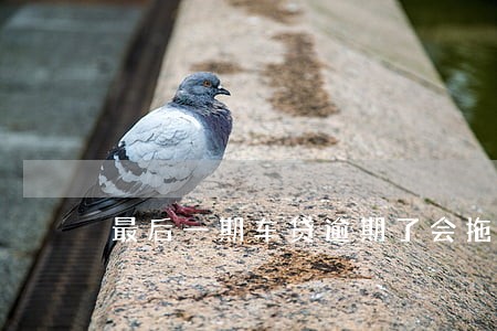 最后一期车贷逾期了会拖车吗 最后一期车贷逾期了会拖车吗