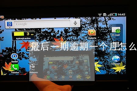 最后一期逾期一个月怎么办 最后一期逾期一个月怎么办