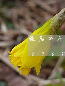 最后半个月经济法基础/2023021509054 最后半个月经济法基础/2023021509054