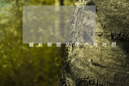 最后根据法律严厉处罚 最后根据法律严厉处罚