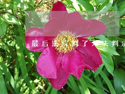 最后法院判了无法判决此案 最后法院判了无法判决此案