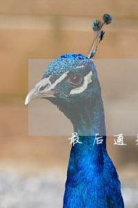 最后通知关于贷款已严重逾期 最后通知关于贷款已严重逾期