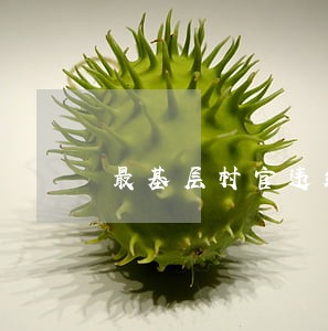 最基层村官违纪违法调研探究 最基层村官违纪违法调研探究
