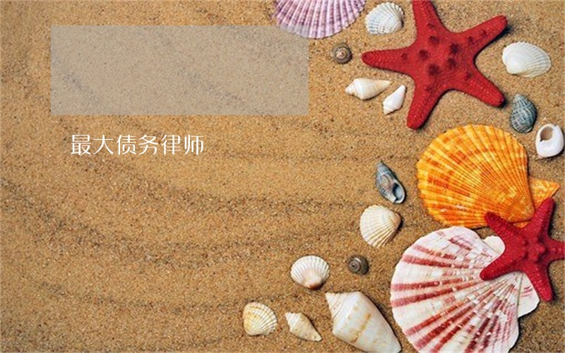 最大债务律师 最大债务律师