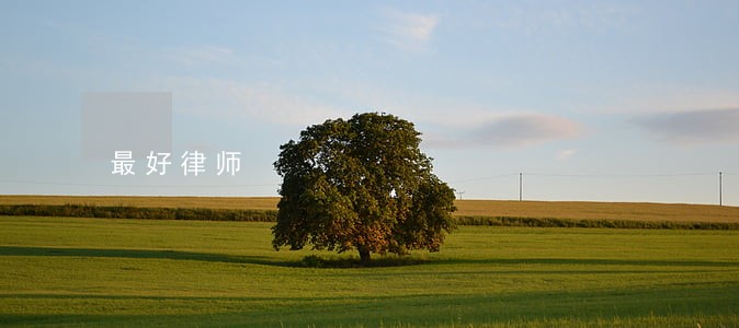 最好律师 最好律师