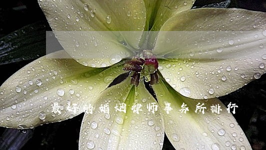 最好的婚姻律师事务所排行 最好的婚姻律师事务所排行