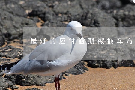最好的应付逾期被拖车方案 最好的应付逾期被拖车方案