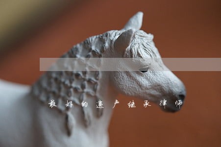 最好的遗产继承律师 最好的遗产继承律师
