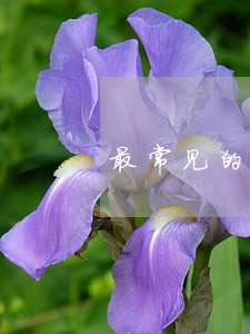 最常见的5种法律风险 最常见的5种法律风险