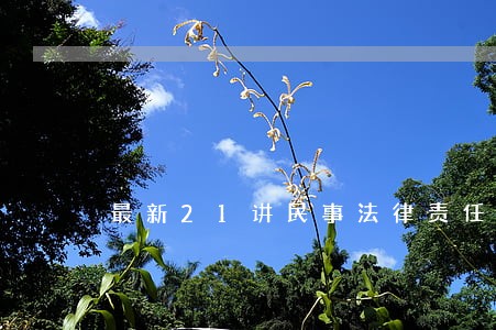 最新21讲民事法律责任2汇总