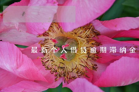最新个人借贷逾期滞纳金有上限吗 最新个人借贷逾期滞纳金有上限吗