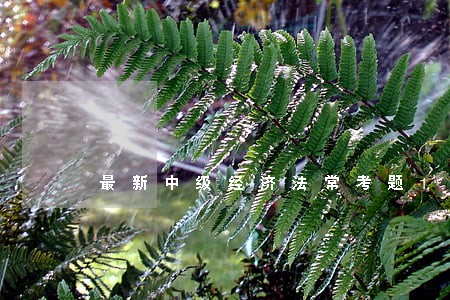 最新中级经济法常考题1167