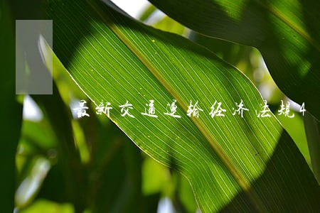 最新交通运输经济法规4章 最新交通运输经济法规4章
