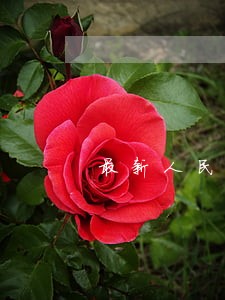 最新人民币贷款逾期付款利率 最新人民币贷款逾期付款利率