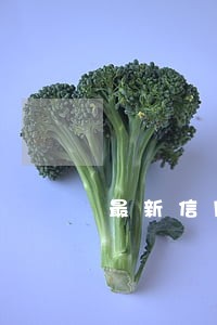 最新信用卡九月份逾期截图照片 最新信用卡九月份逾期截图照片
