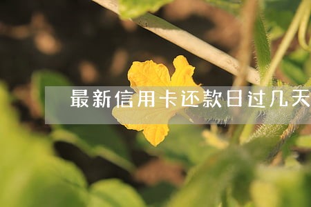 最新信用卡还款日过几天算逾期 最新信用卡还款日过几天算逾期